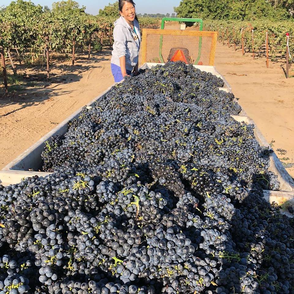 Mitzi Onizuka, is co-owner of the vineyards