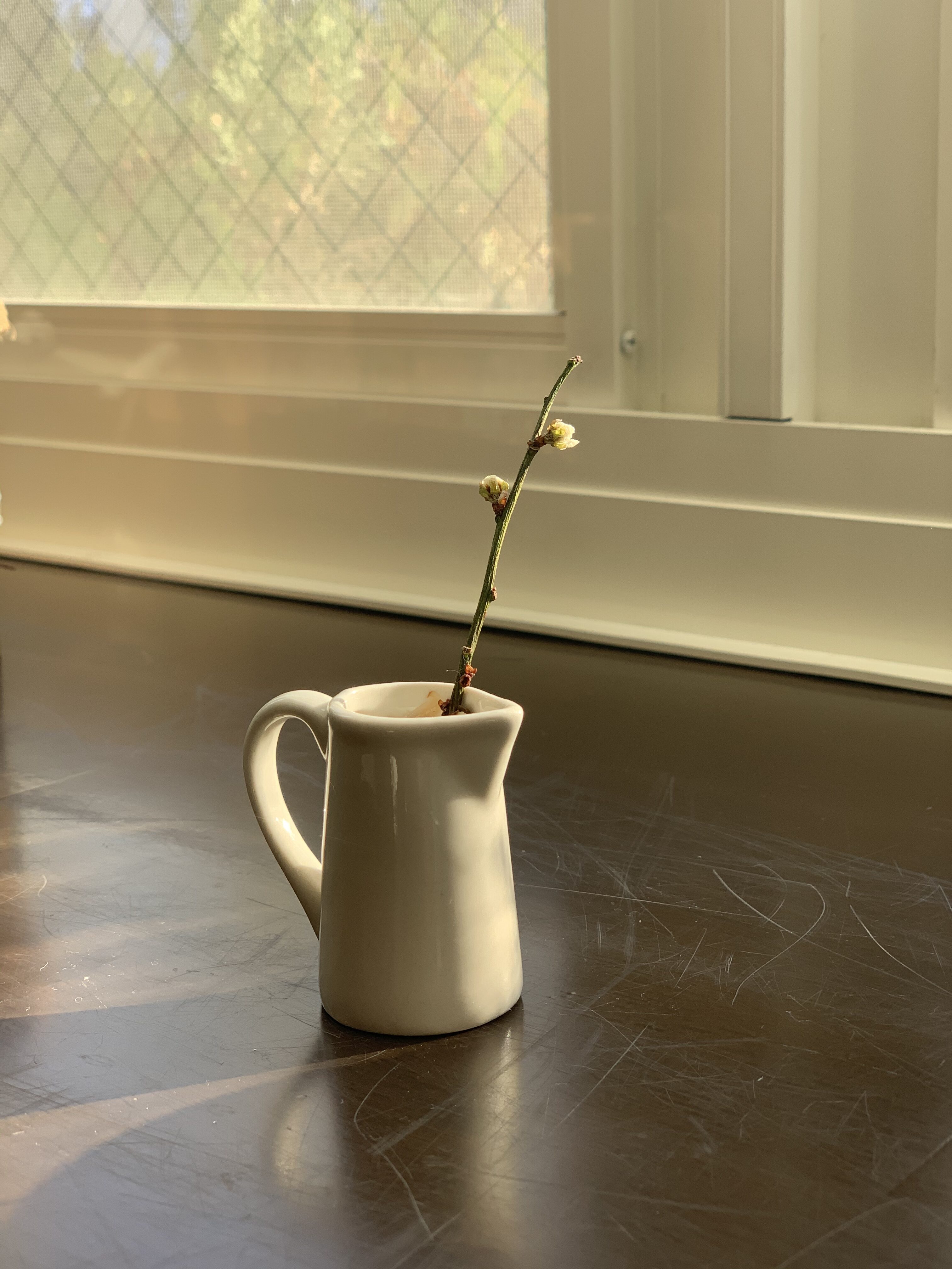 Obachan’s Plum Blossom (original ikebana inspiration)