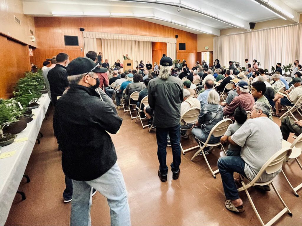 Crowd at the auction, July 2022